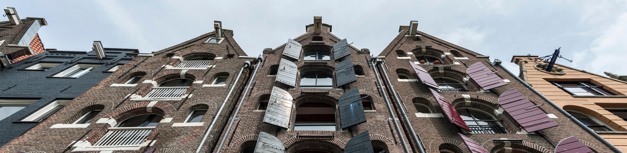 Electing real property trade or business procedural guidance issued by